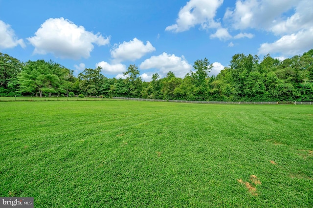 view of yard with a rural view