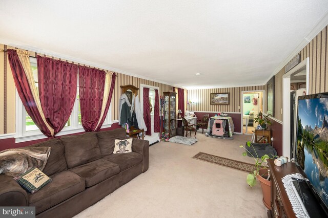 carpeted living room with ornamental molding