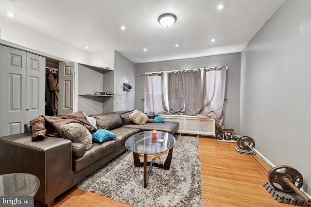 living room with hardwood / wood-style flooring