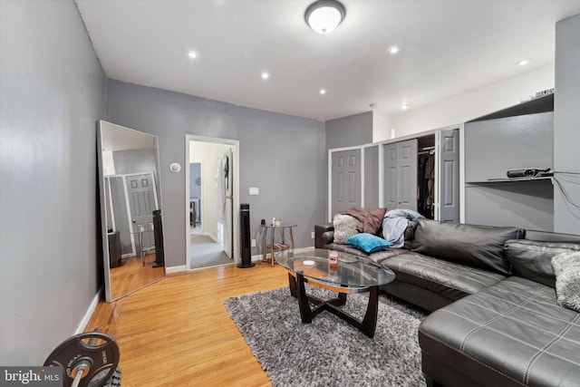 living room featuring hardwood / wood-style floors