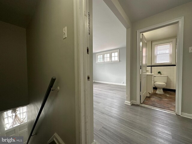 hall with tile walls, a healthy amount of sunlight, and wood-type flooring