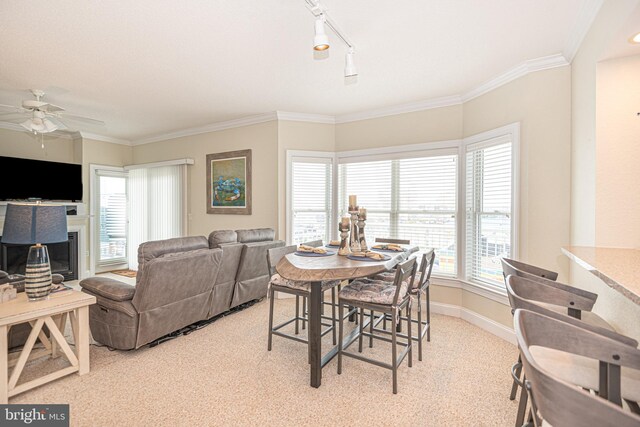 carpeted dining area featuring ornamental molding, rail lighting, and ceiling fan