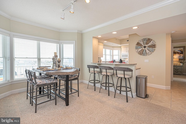 carpeted dining space featuring ornamental molding, a textured ceiling, a healthy amount of sunlight, and rail lighting