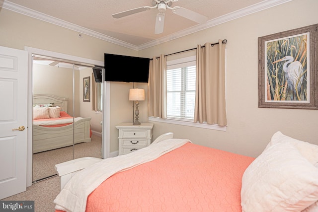 carpeted bedroom featuring a closet, ceiling fan, a textured ceiling, and ornamental molding