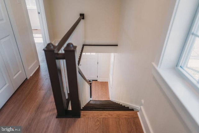 stairway featuring hardwood / wood-style floors