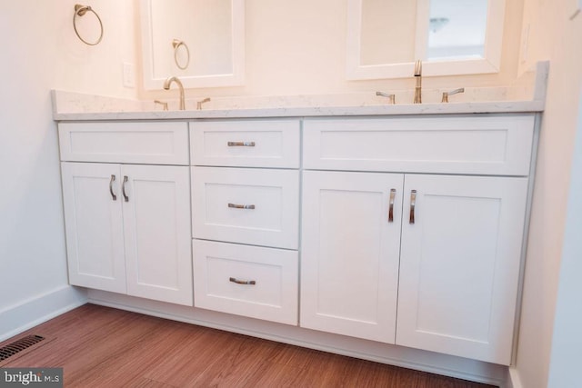 bathroom with wood-type flooring and vanity