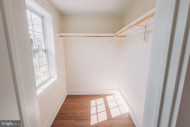 spacious closet featuring wood-type flooring