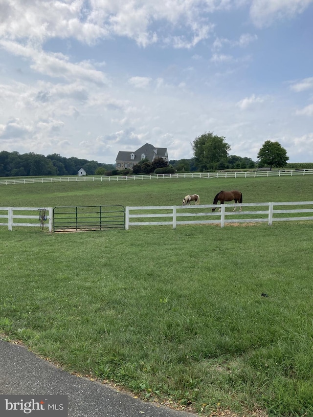 view of yard featuring a rural view