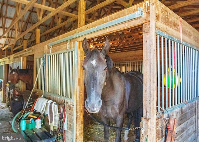 4116 Harford Creamery Rd, White Hall, MD 21161 - view of stable