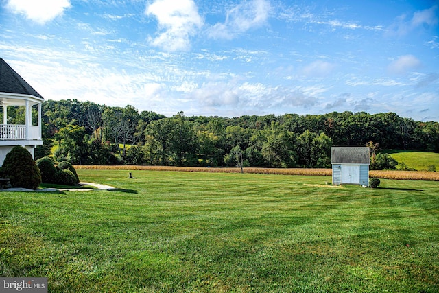 view of yard with a storage unit