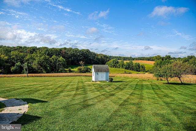 view of yard with a shed and a rural view