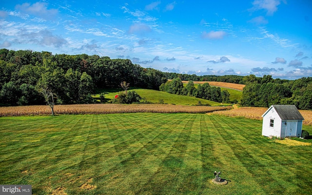 view of yard featuring a storage unit and a rural view