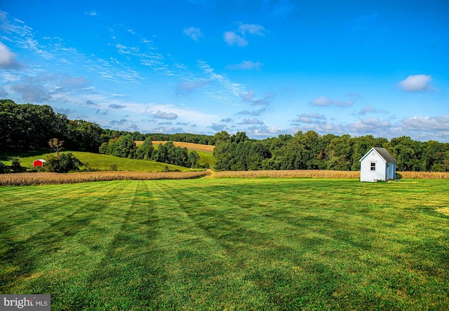 view of yard featuring a storage shed and a rural view