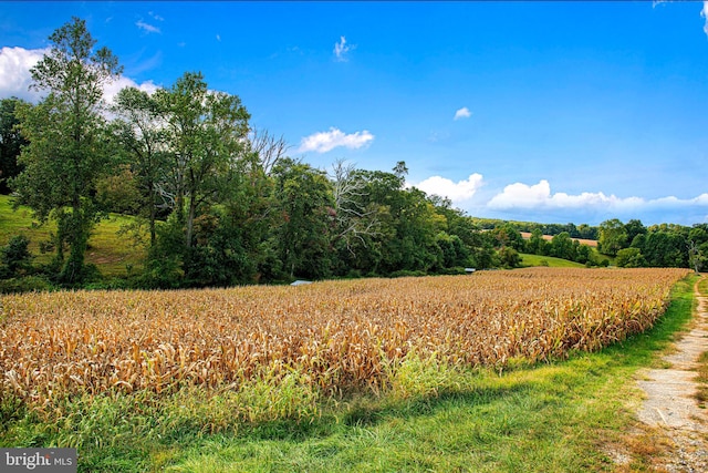 view of landscape