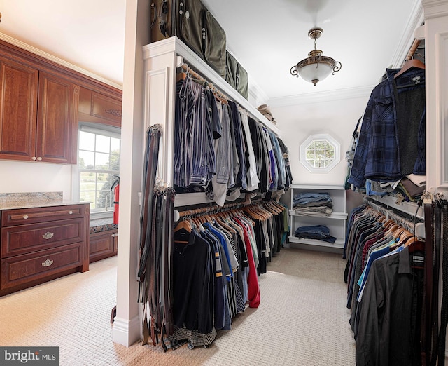 4116 Harford Creamery Rd, White Hall, MD 21161 - walk in closet with light colored carpet