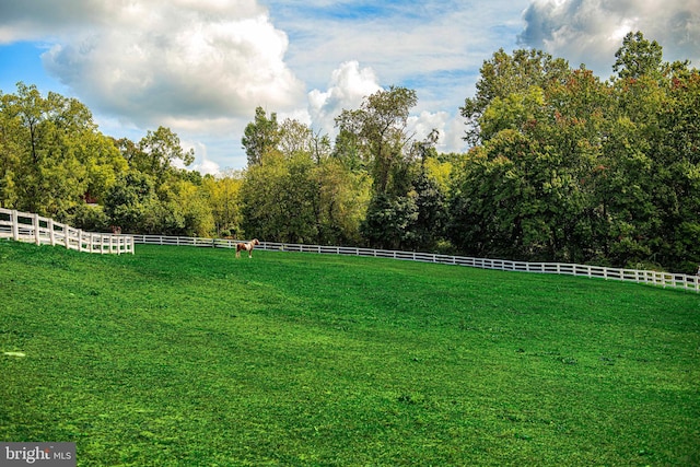 view of yard with a rural view