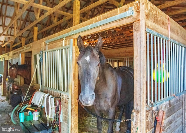 view of stable