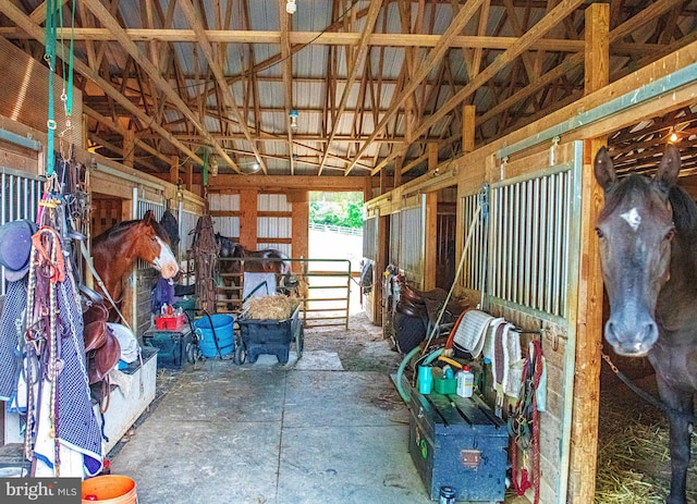 view of stable