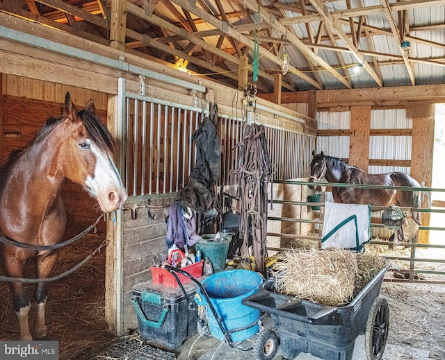 view of horse barn