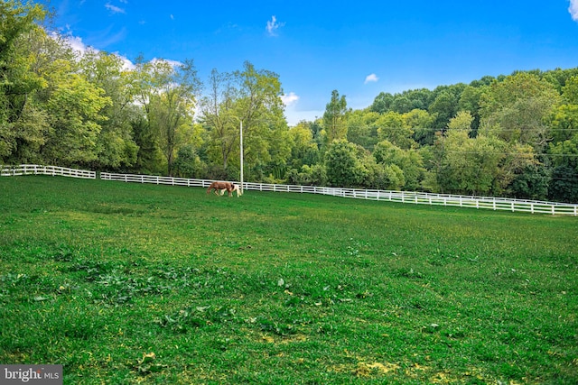 view of yard with a rural view