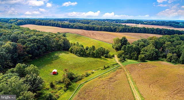 drone / aerial view featuring a rural view