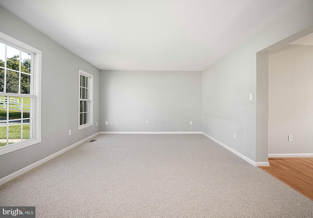 empty room featuring a wealth of natural light and wood-type flooring