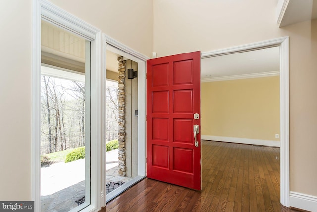 entryway featuring crown molding, a healthy amount of sunlight, and dark hardwood / wood-style flooring