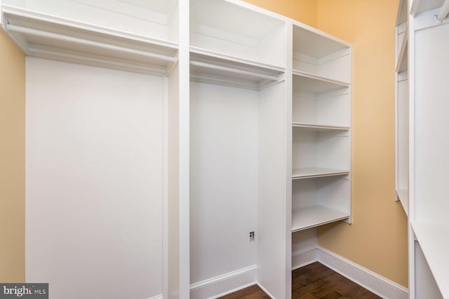 walk in closet with dark wood-type flooring