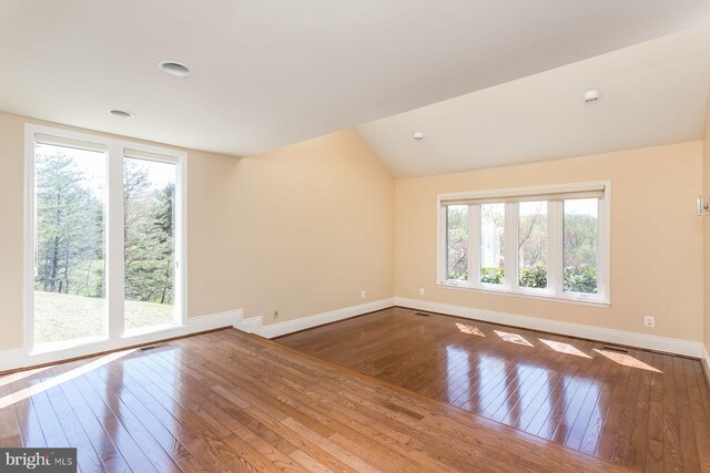 empty room featuring a wealth of natural light, vaulted ceiling, and dark hardwood / wood-style floors