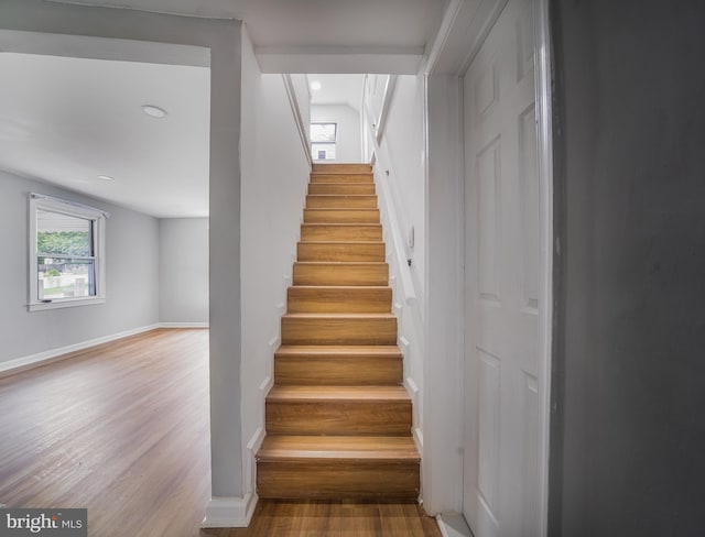 staircase featuring hardwood / wood-style floors