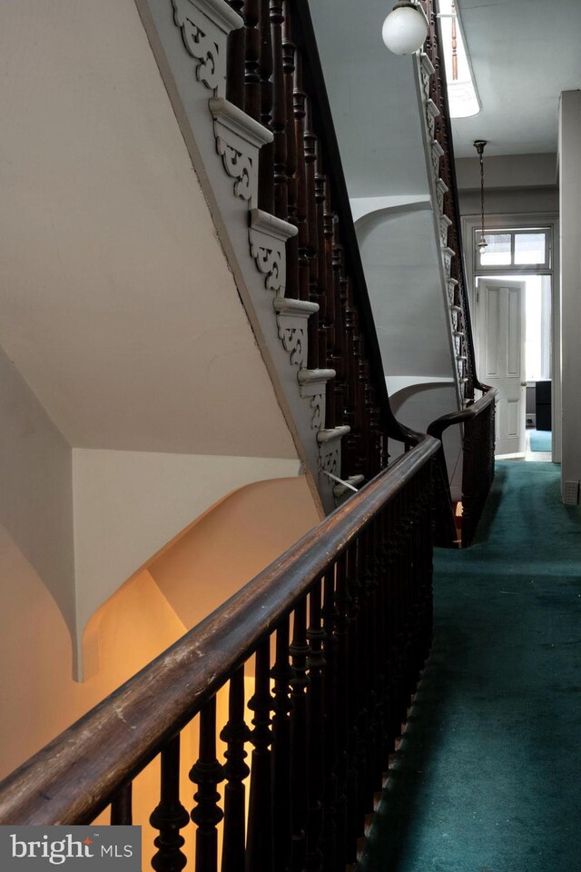19 S Stricker St, Baltimore, MD 21223 - stairs featuring carpet flooring