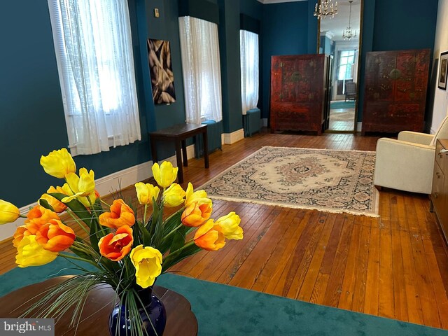 interior space featuring hardwood / wood-style floors and baseboards