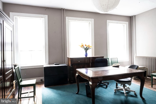 19 S Stricker St, Baltimore, MD 21223 - office featuring radiator heating unit and wood finished floors