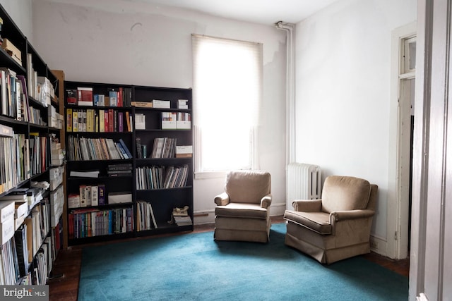 19 S Stricker St, Baltimore, MD 21223 - living area featuring wall of books and radiator heating unit