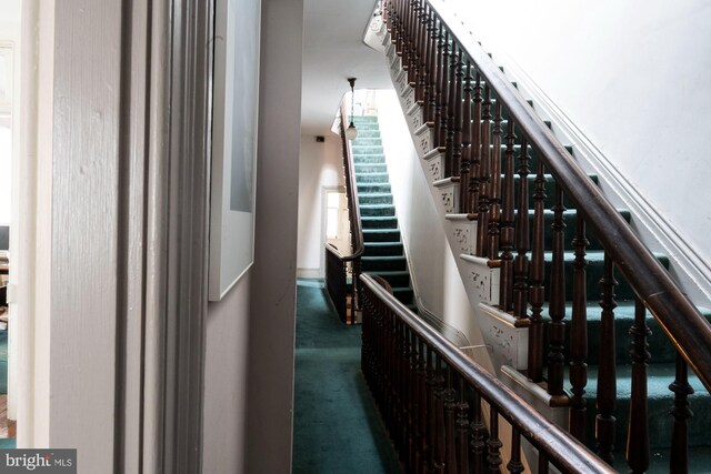 19 S Stricker St, Baltimore, MD 21223 - hallway with carpet and stairs
