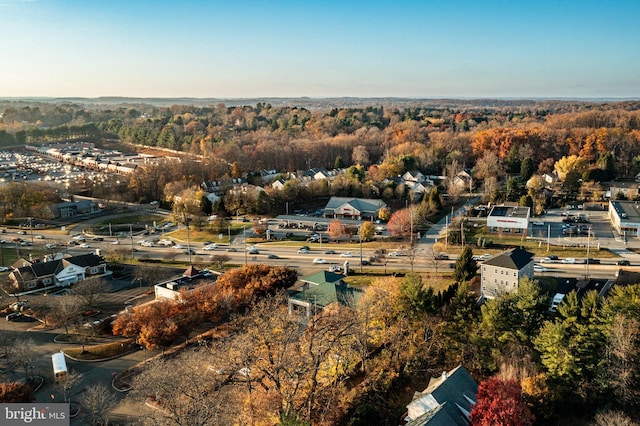 bird's eye view