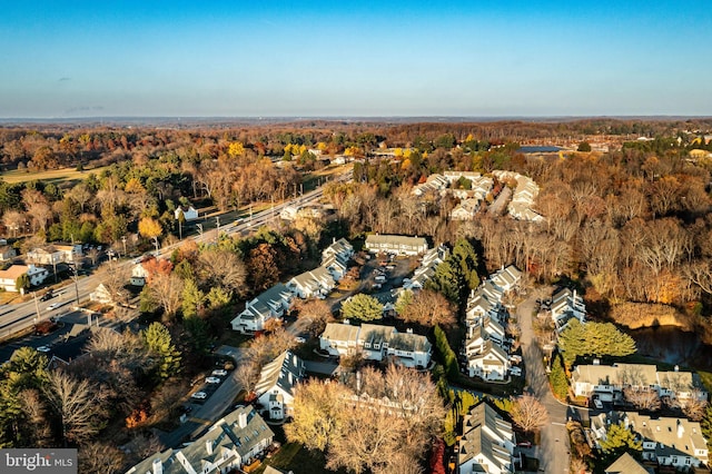 drone / aerial view