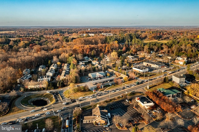 drone / aerial view