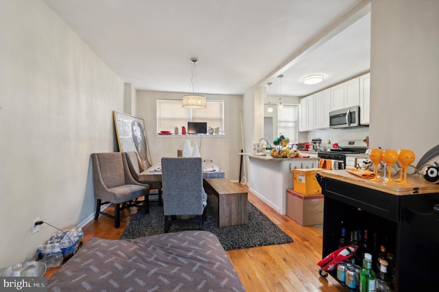 dining room featuring light hardwood / wood-style floors