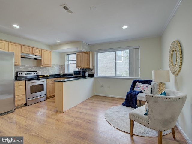 kitchen with kitchen peninsula, stainless steel appliances, light hardwood / wood-style floors, and a healthy amount of sunlight