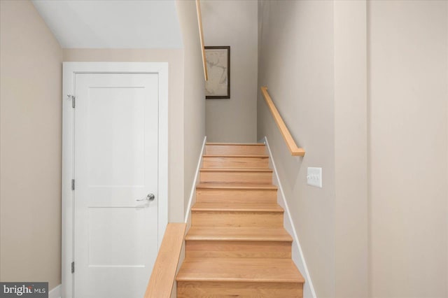 stairway with wood-type flooring