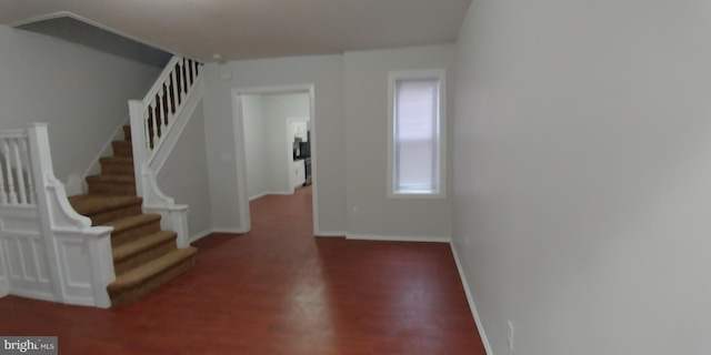 foyer entrance featuring dark hardwood / wood-style flooring