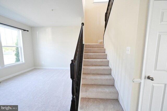 staircase with carpet