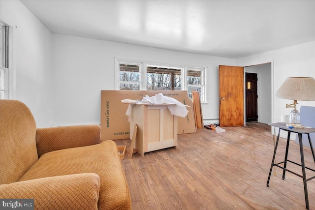 living room with hardwood / wood-style flooring