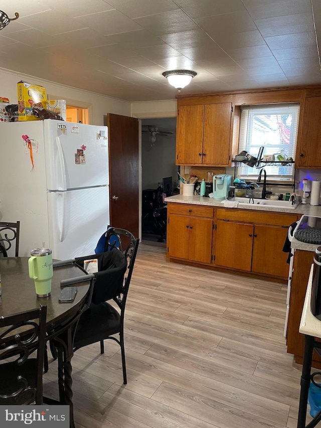 kitchen featuring light wood finished floors, brown cabinets, freestanding refrigerator, light countertops, and a sink