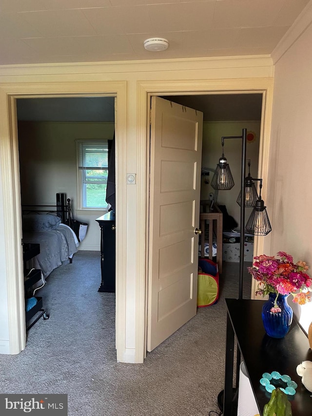 hallway featuring crown molding and carpet flooring