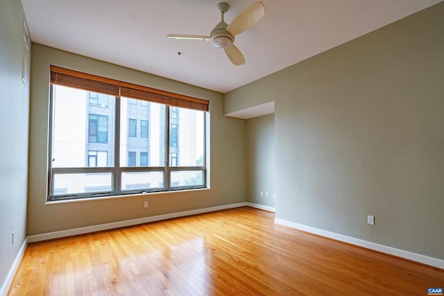 empty room featuring hardwood / wood-style floors and a raised ceiling