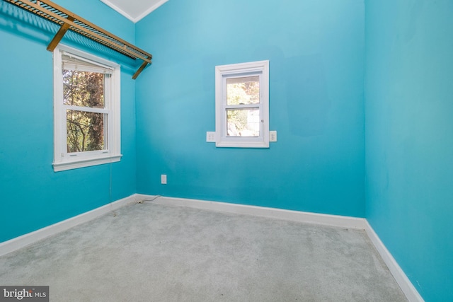 spare room with carpet flooring and plenty of natural light