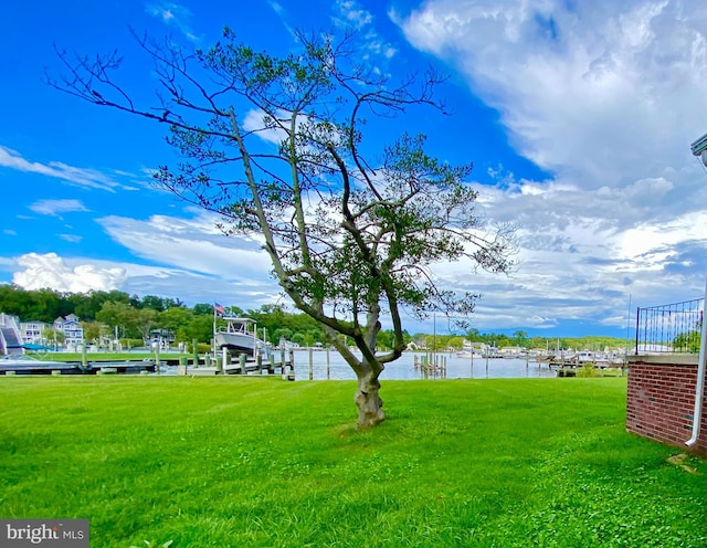 view of yard with a water view and a dock