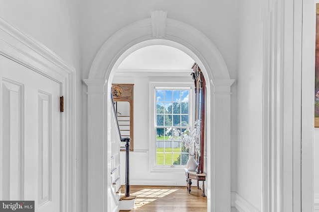 foyer entrance featuring wood-type flooring